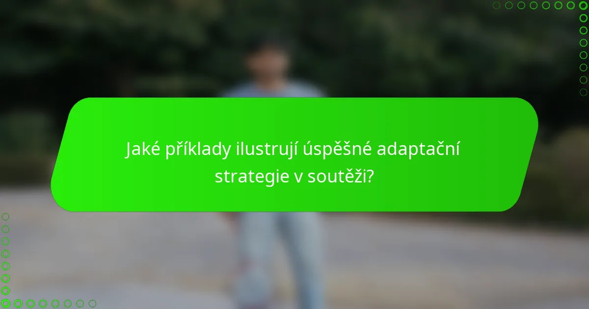 Jaké příklady ilustrují úspěšné adaptační strategie v soutěži?