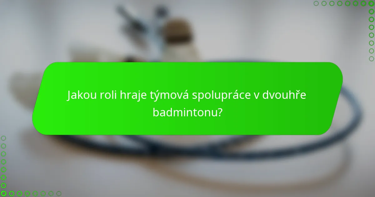 Jakou roli hraje týmová spolupráce v dvouhře badmintonu?